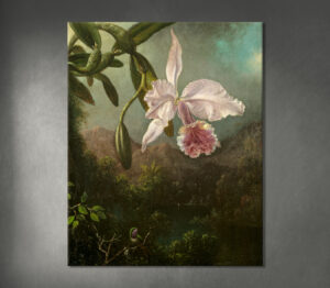 Orchidėjų žiedai (1873). Martinas Johnsonas Heade'as (amerikietis, 1819-1904).