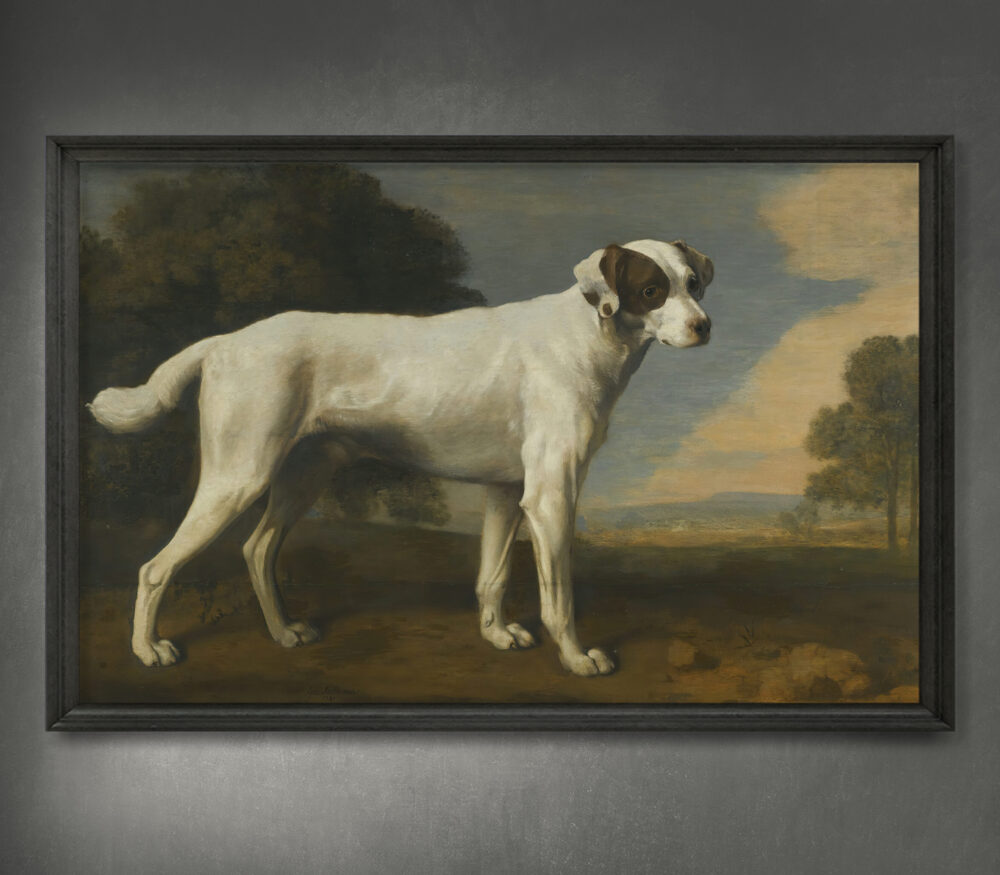 Vikonto Gormanstono baltas šuo (1781 m.)